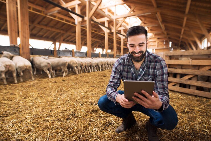 Gestão rural: estratégias para aumentar a produtividade